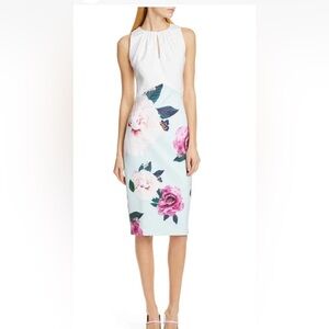 Ted Baker White and Blue Floral Annile Midi Dress